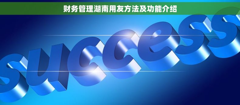财务管理湖南用友方法及功能介绍