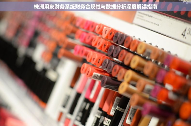 株洲用友财务系统财务合规性与数据分析深度解读指南