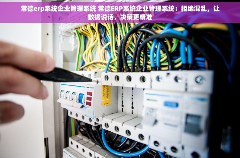 常德erp系统企业管理系统 常德ERP系统企业管理系统：拒绝混乱，让数据说话，决策更精准