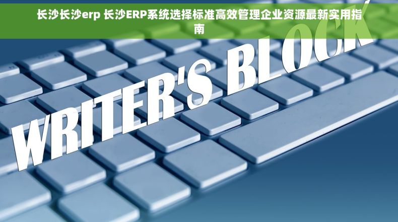 长沙长沙erp 长沙ERP系统选择标准高效管理企业资源最新实用指南