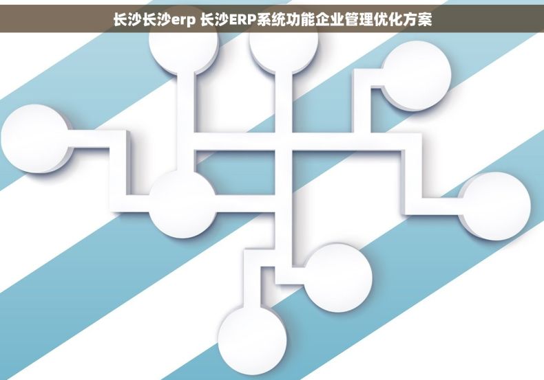 长沙长沙erp 长沙ERP系统功能企业管理优化方案
