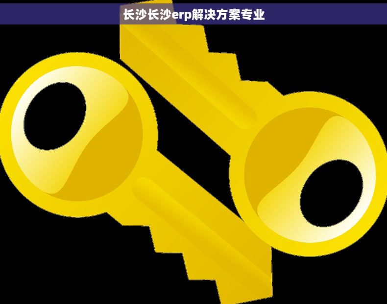 长沙长沙erp解决方案专业