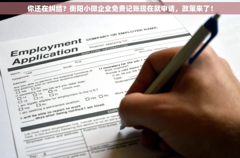 你还在纠结？衡阳小微企业免费记账现在就申请，政策来了！