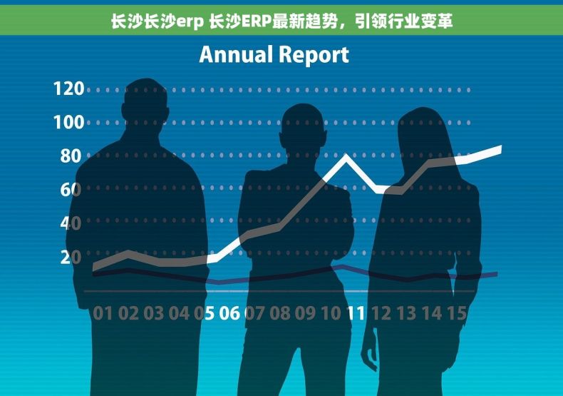 长沙长沙erp 长沙ERP最新趋势，引领行业变革