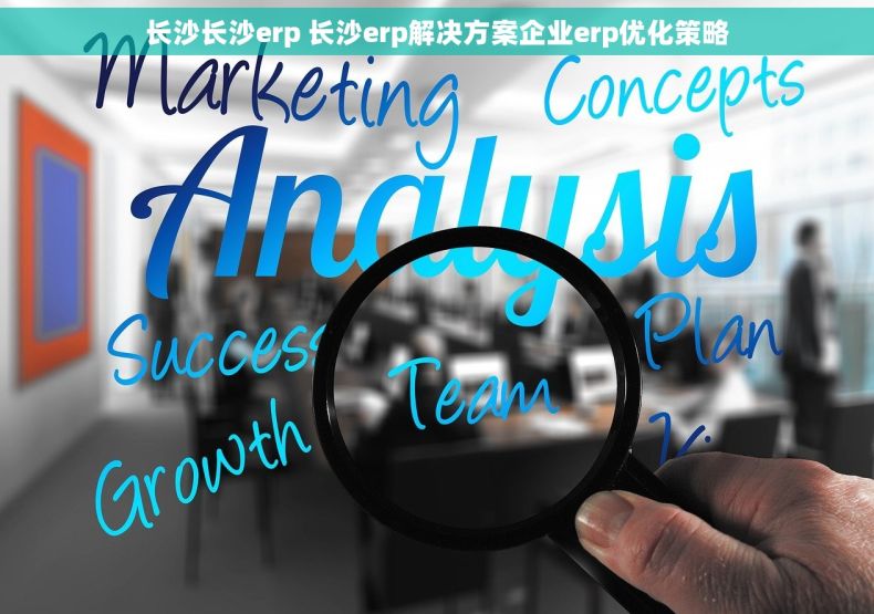 长沙长沙erp 长沙erp解决方案企业erp优化策略