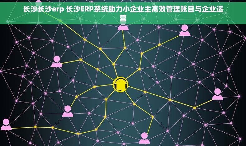 长沙长沙erp 长沙ERP系统助力小企业主高效管理账目与企业运营
