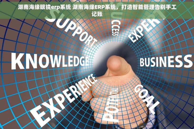 湖南海缘眼镜erp系统 湖南海缘ERP系统，打造智能管理告别手工记账