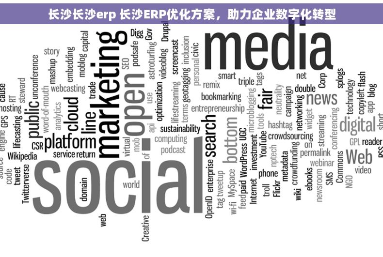 长沙长沙erp 长沙ERP优化方案，助力企业数字化转型