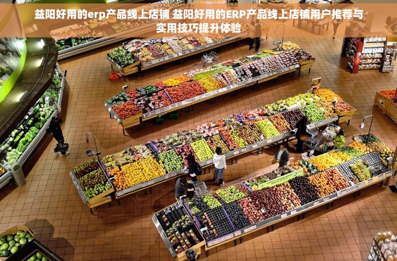 益阳好用的erp产品线上店铺 益阳好用的ERP产品线上店铺用户推荐与实用技巧提升体验