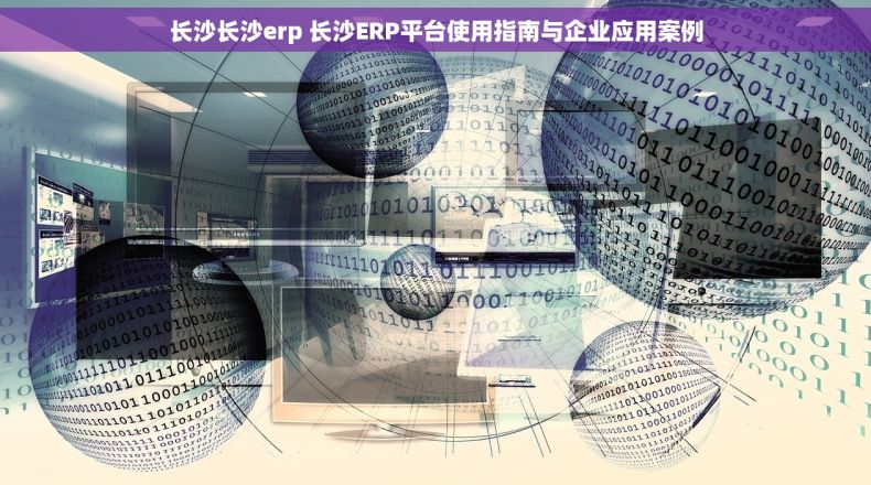长沙长沙erp 长沙ERP平台使用指南与企业应用案例