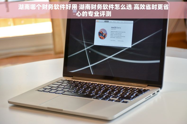 湖南哪个财务软件好用 湖南财务软件怎么选 高效省时更省心的专业评测
