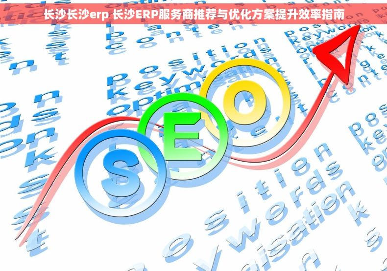 长沙长沙erp 长沙ERP服务商推荐与优化方案提升效率指南