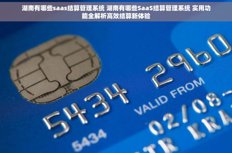 湖南有哪些saas结算管理系统 湖南有哪些SaaS结算管理系统 实用功能全解析高效结算新体验
