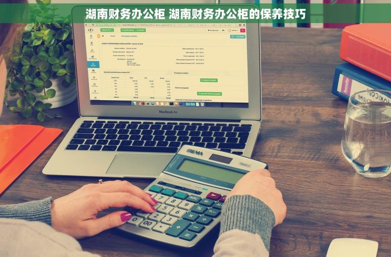 湖南财务办公柜 湖南财务办公柜的保养技巧
