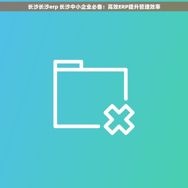 长沙长沙erp 长沙中小企业必备：高效ERP提升管理效率