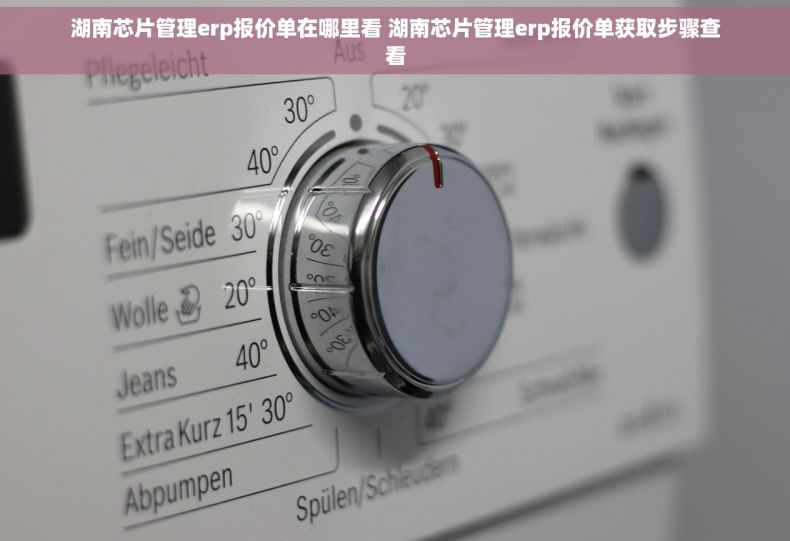 湖南芯片管理erp报价单在哪里看 湖南芯片管理erp报价单获取步骤查看