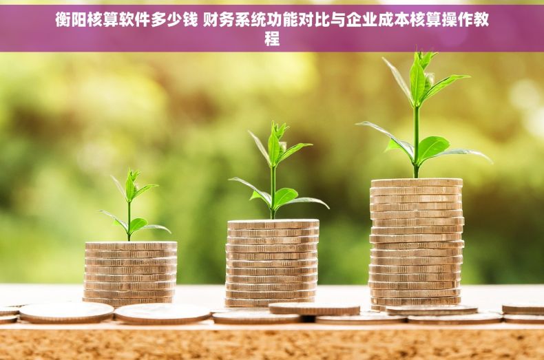 衡阳核算软件多少钱 财务系统功能对比与企业成本核算操作教程
