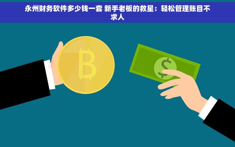 永州财务软件多少钱一套 新手老板的救星：轻松管理账目不求人