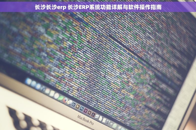 长沙长沙erp 长沙ERP系统功能详解与软件操作指南