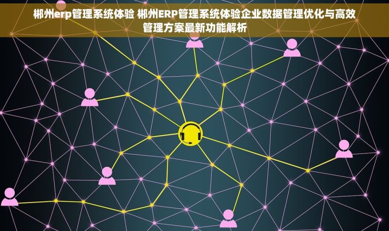 郴州erp管理系统体验 郴州ERP管理系统体验企业数据管理优化与高效管理方案最新功能解析