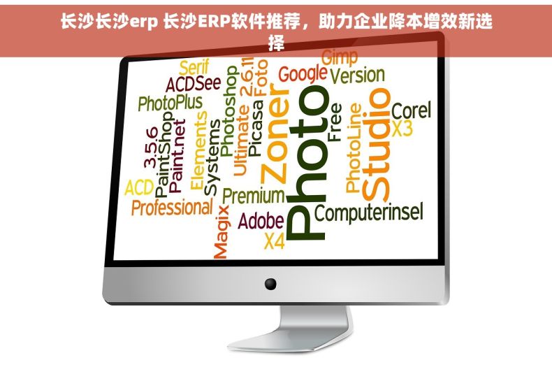 长沙长沙erp 长沙ERP软件推荐，助力企业降本增效新选择