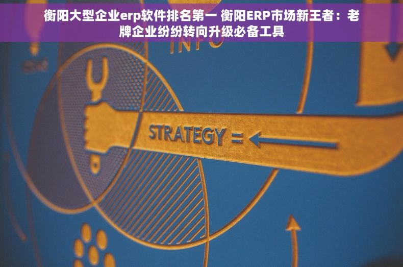 衡阳大型企业erp软件排名第一 衡阳ERP市场新王者：老牌企业纷纷转向升级必备工具