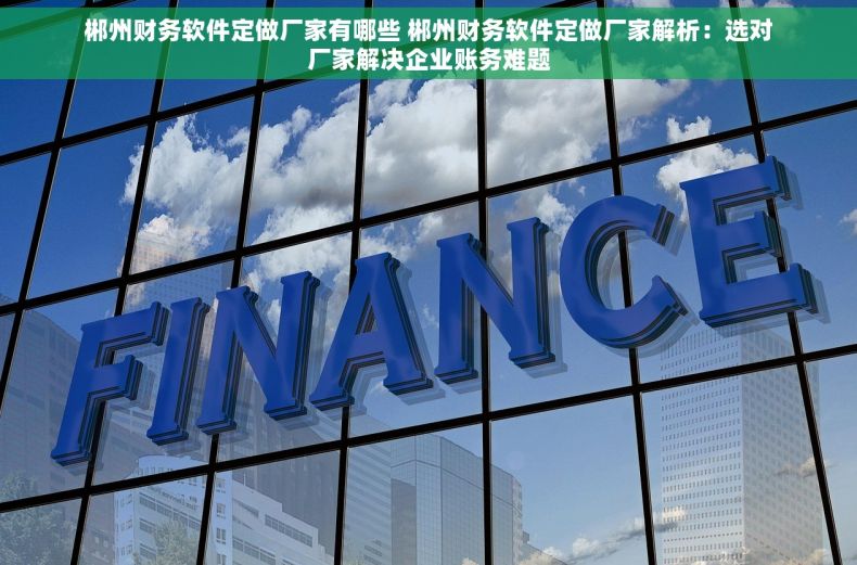 郴州财务软件定做厂家有哪些 郴州财务软件定做厂家解析：选对厂家解决企业账务难题