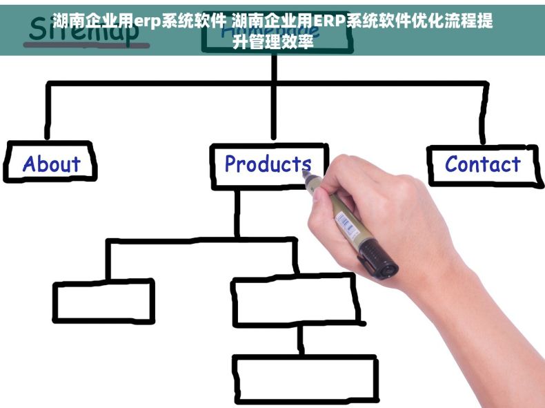 湖南企业用erp系统软件 湖南企业用ERP系统软件优化流程提升管理效率