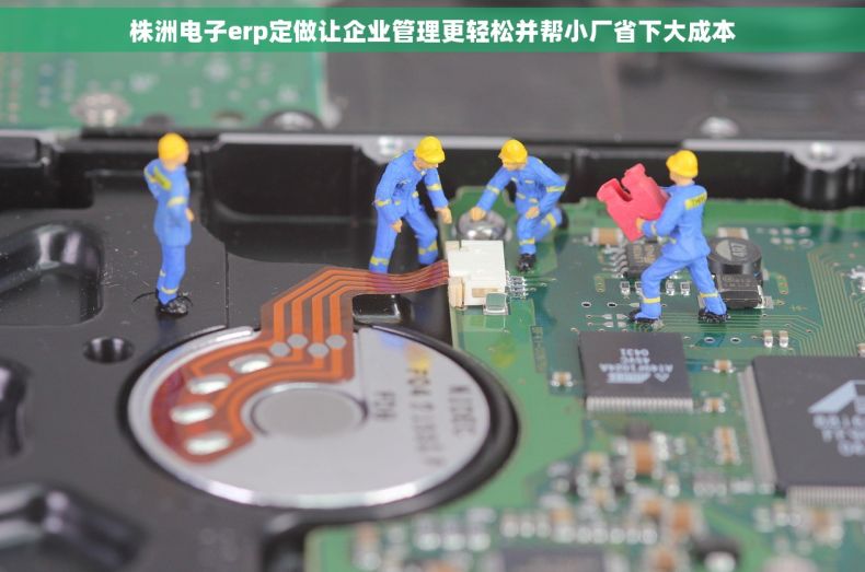 株洲电子erp定做让企业管理更轻松并帮小厂省下大成本