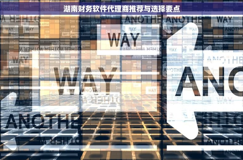 湖南财务软件代理商推荐与选择要点