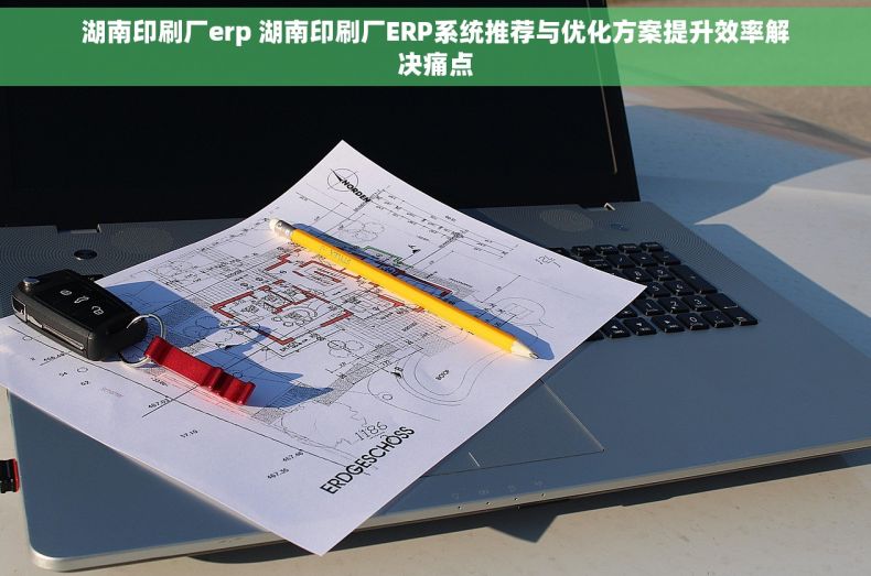 湖南印刷厂erp 湖南印刷厂ERP系统推荐与优化方案提升效率解决痛点