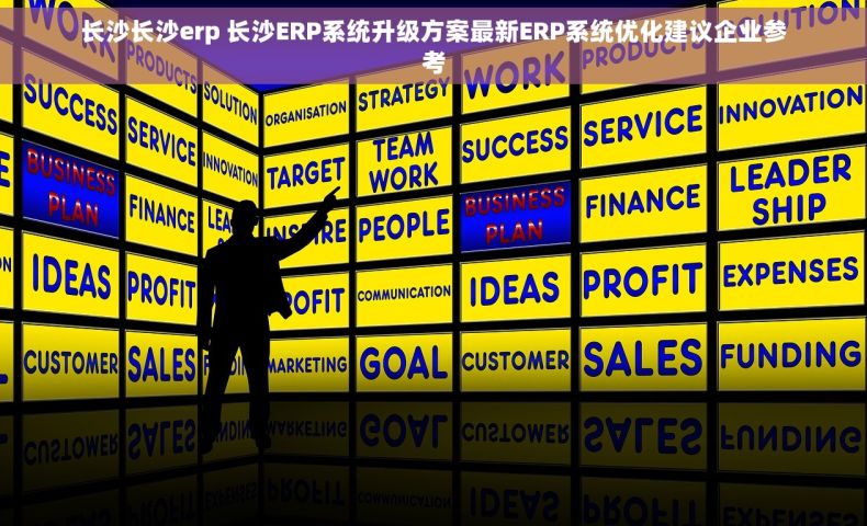 长沙长沙erp 长沙ERP系统升级方案最新ERP系统优化建议企业参考