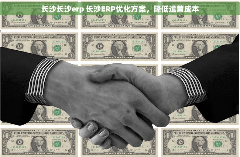 长沙长沙erp 长沙ERP优化方案，降低运营成本