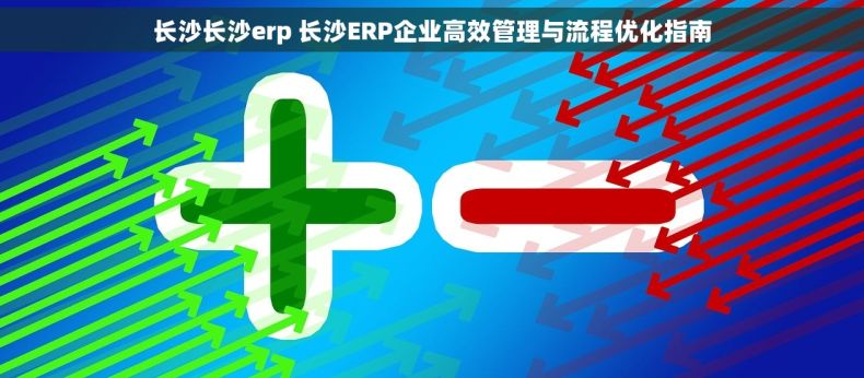 长沙长沙erp 长沙ERP企业高效管理与流程优化指南