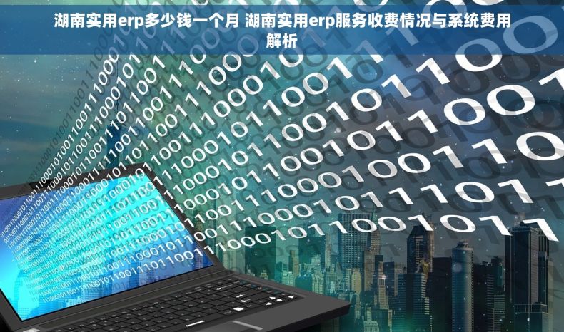湖南实用erp多少钱一个月 湖南实用erp服务收费情况与系统费用解析