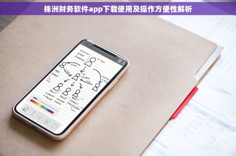株洲财务软件app下载使用及操作方便性解析