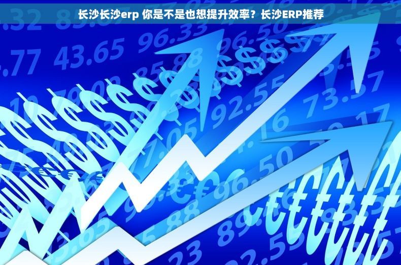 长沙长沙erp 你是不是也想提升效率？长沙ERP推荐
