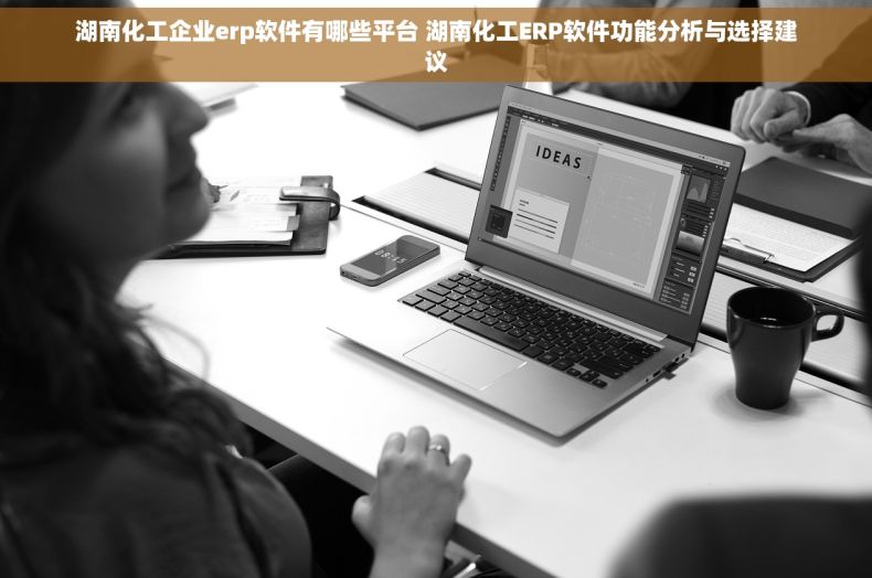 湖南化工企业erp软件有哪些平台 湖南化工ERP软件功能分析与选择建议