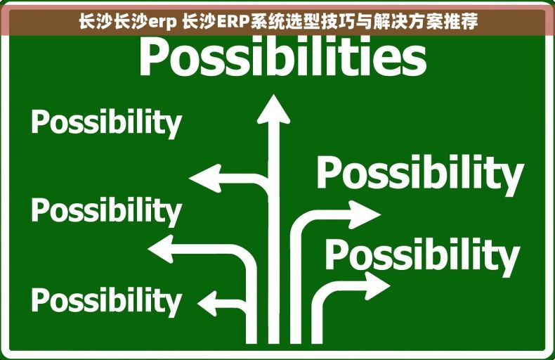 长沙长沙erp 长沙ERP系统选型技巧与解决方案推荐