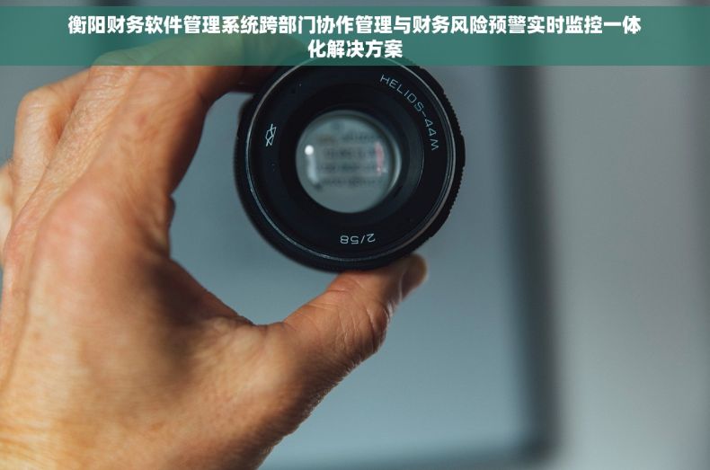 衡阳财务软件管理系统跨部门协作管理与财务风险预警实时监控一体化解决方案