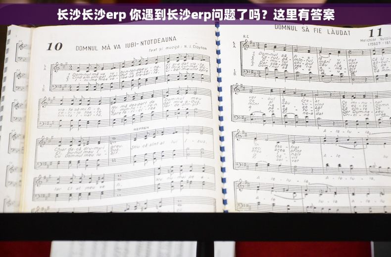 长沙长沙erp 你遇到长沙erp问题了吗？这里有答案