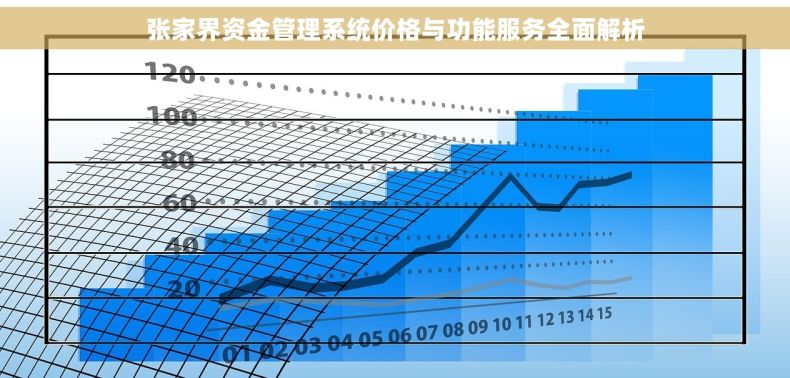 张家界资金管理系统价格与功能服务全面解析