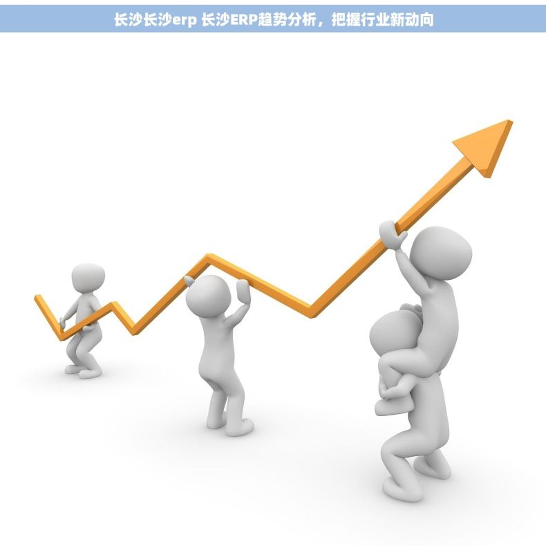 长沙长沙erp 长沙ERP趋势分析，把握行业新动向
