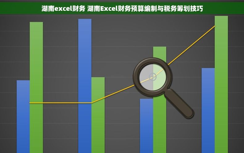 湖南excel财务 湖南Excel财务预算编制与税务筹划技巧