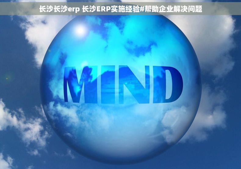 长沙长沙erp 长沙ERP实施经验#帮助企业解决问题