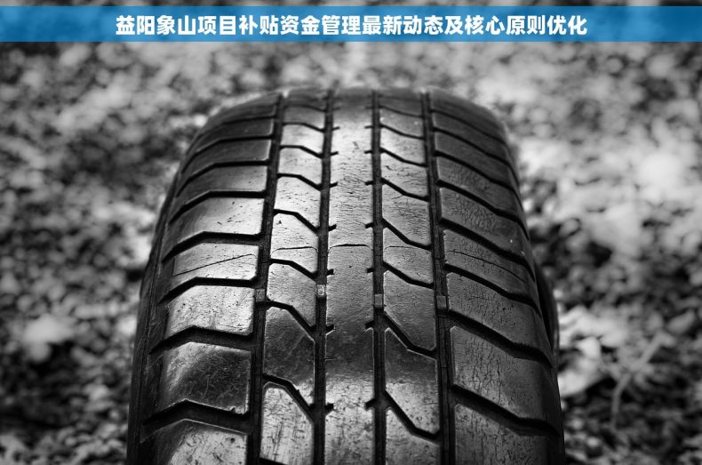 益阳象山项目补贴资金管理最新动态及核心原则优化