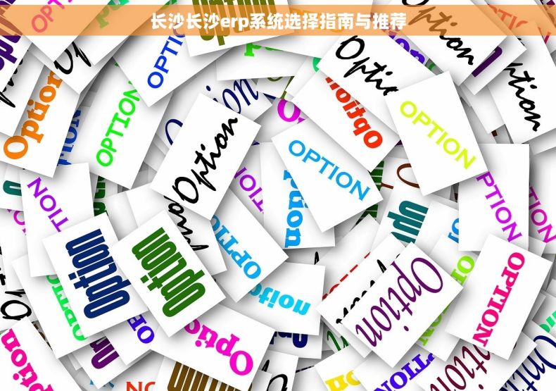 长沙长沙erp系统选择指南与推荐