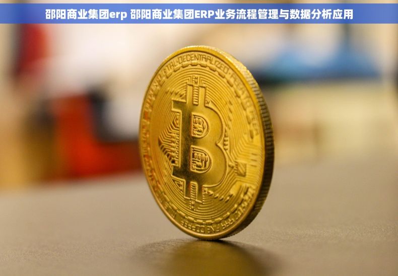 邵阳商业集团erp 邵阳商业集团ERP业务流程管理与数据分析应用