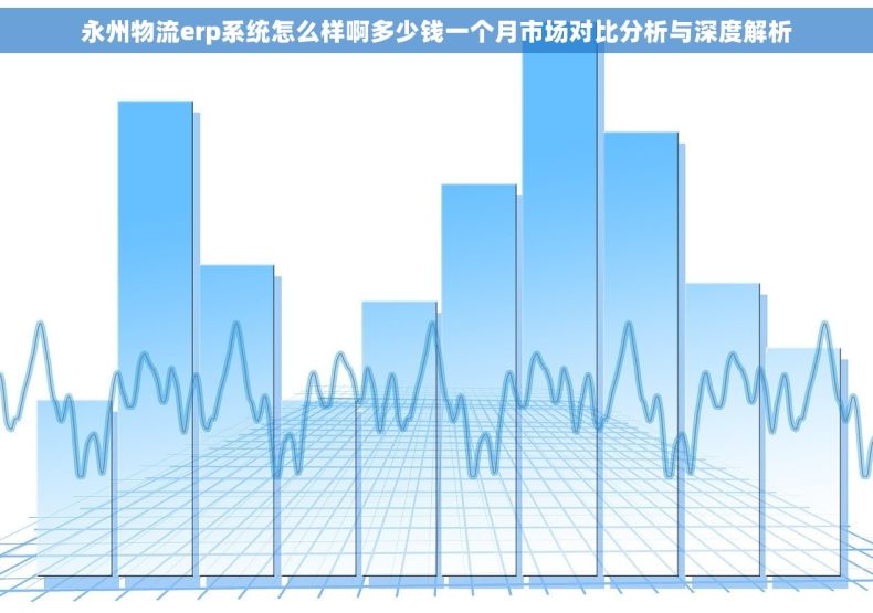 永州物流erp系统怎么样啊多少钱一个月市场对比分析与深度解析
