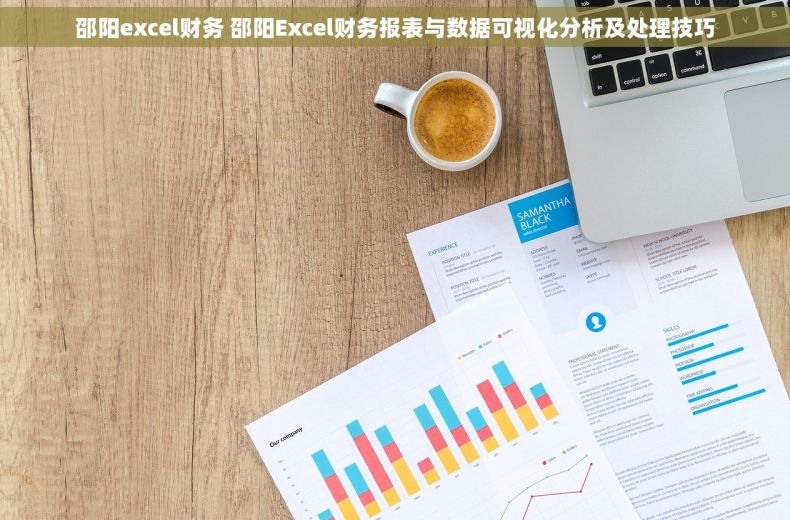 邵阳excel财务 邵阳Excel财务报表与数据可视化分析及处理技巧